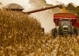 Volume exportado de milho em queda em 2017