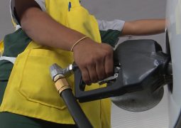 Vendas de etanol em fevereiro caem 13% para 1,69 bilhão de litros, diz Unica