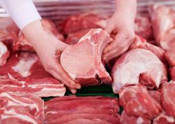 União Europeia quer aumento no rigor da fiscalização da carne brasileira