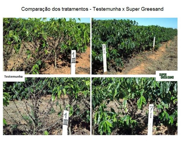 comparação-tratamentos-super-greensand-epamig
