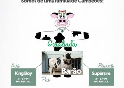 Geraleite lança promoção especial de Dia dos Pais em São Gotardo. Clique e participe