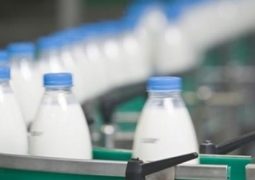 Setor de lácteos pede ao governo cota para importação de leite uruguaio