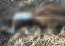 Corpo é encontrado carbonizado em fazenda às margens da BR-354