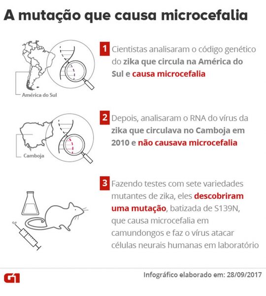 a-mutacao-que-causa-microcefalia