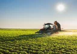 Custos de produção do agronegócio registram queda em setembro, aponta Farsul