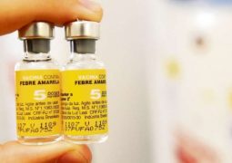 Febre amarela: especialistas explicam o que é a dose fracionada