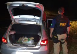 Novo indivíduo de São Gotardo é preso com cerca de 43 kg de maconha na BR-365