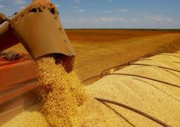 Colheita da soja se espalha pelo país