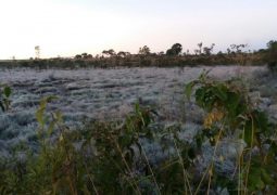 São Gotardo registra menor temperatura do ano e previsão é de mais frio ao longo da semana