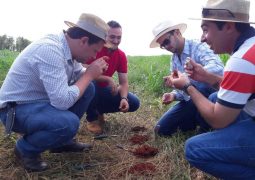 Sustentabilidade e produtividade são as propostas do Curso de Especialização em Manejo do Solo promovido pela ESALQ/USP em São Gotardo