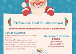 Grupo Anjos da Guarda iniciam campanha de arrecadação para Festa de Natal para crianças de Guarda dos Ferreiros