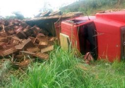 Caminhão carregado de cenouras tomba na MG-235 em São Gotardo