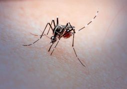 São Gotardo confirma primeira morte por Dengue no município