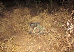 Ciclista morre atropelado na MG-235 entre as cidades de Ibiá e São Gotardo