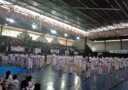 Com a participação de mais de 250 atletas, 12º Campeonato Intermunicipal de Taekwondo é realizado em São Gotardo