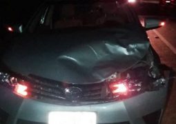Animal invade MG-235 em São Gotardo e provoca acidente com veículo