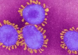 Brasil tem primeira morte por coronavírus confirmada
