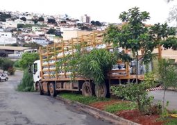 Caminhão carregado com botijões de gás se descontrola e parte da carga desce em morro em São Gotardo