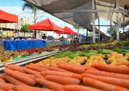 Com restrições, Feira Livre volta a funcionar em São Gotardo. Multa de 1,5 milhão para Prefeito não procede