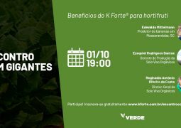 Produtores de hortifruti falam sobre os benefícios de tecnologia de nutrição potássica que não prejudica o solo