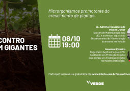 Saiba quais são os microrganismos promotores do crescimento de plantas e o seu papel no aumento sustentável da produtividade agrícola