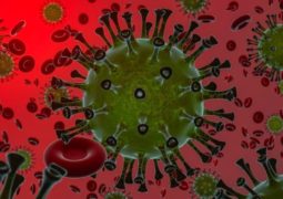 Nova variante do coronavírus: o que se sabe até agora em 5 perguntas e respostas