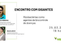ENCONTRO COM GIGANTES: Conheça a ação das rizobactérias no controle de doenças agrícolas