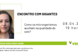 ENCONTRO COM GIGANTES: Entenda o papel dos microrganismos no aumento da qualidade do solo