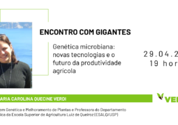 ENCONTRO COM GIGANTES: Descubra mais sobre a interação genética entre microrganismos benéficos e as plantas