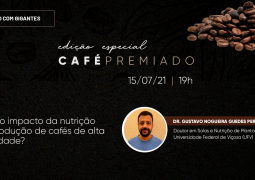 ESPECIAL CAFÉ: Entenda como a nutrição agrícola pode impactar a produção de cafés de alta qualidade