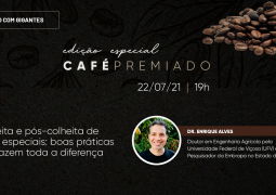 Conheça boas práticas para alavancar a produção de cafés especiais