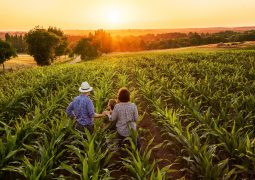 Campanha prorrogada: Agricultores de São Gotardo e Matutina podem ser heróis do campo com Projeto Cultivando Amor