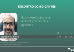 Como os agrominerais silicáticos podem ser utilizados no manejo agrícola?