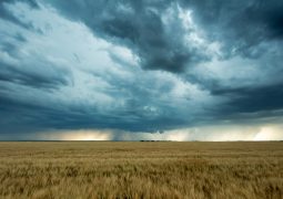 Da falta de chuva ao excesso delas: por que o início do período chuvoso traz preocupação?