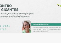 Saiba como a agricultura de precisão pode ajudar a melhorar a produtividade da lavoura