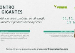 Por que combater a salinização do solo é essencial para o agronegócio e para o planeta?