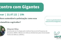 Descubra o papel dos polinizadores na construção de uma agricultura mais sustentável