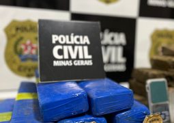 Polícia Civil realiza grande apreensão de drogas em Guarda dos Ferreiros
