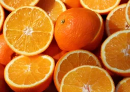 Entenda o que tem elevado os preços da laranja e o porquê da escassez do suco da fruta