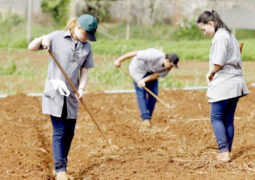 Curso técnico gratuito no interior de São Paulo prepara profissionais para o setor agropecuário em dois semestres letivos