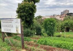 ORGULHO: Farmácia Verde completa 34 anos de história e trabalho social em São Gotardo