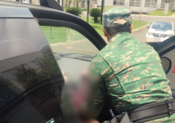 Parto surpresa no carro: Polícia de Meio Ambiente auxilia família em momento emocionante