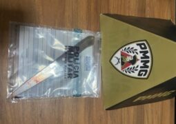 Mulher é presa após esfaquear homem e alegar legítima defesa em São Gotardo