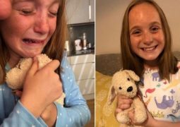 Esquecido em hotel, cachorro de pelúcia “envia carta” para dona de 10 anos