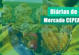 FRANGO/CEPEA: Poder de compra da avicultura se reduz pelo 2º mês consecutivo